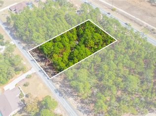 5100 N Red Ribbon Point, Beverly Hills, FL 34465