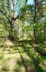 195 Atchison Rd, Camden, TN, 38320