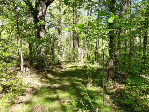 195 Atchison Rd, Camden, TN 38320