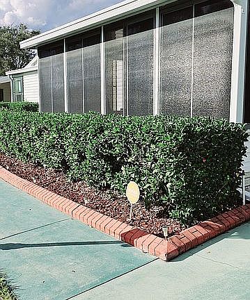 4th image of 1146 Tahiti Cir