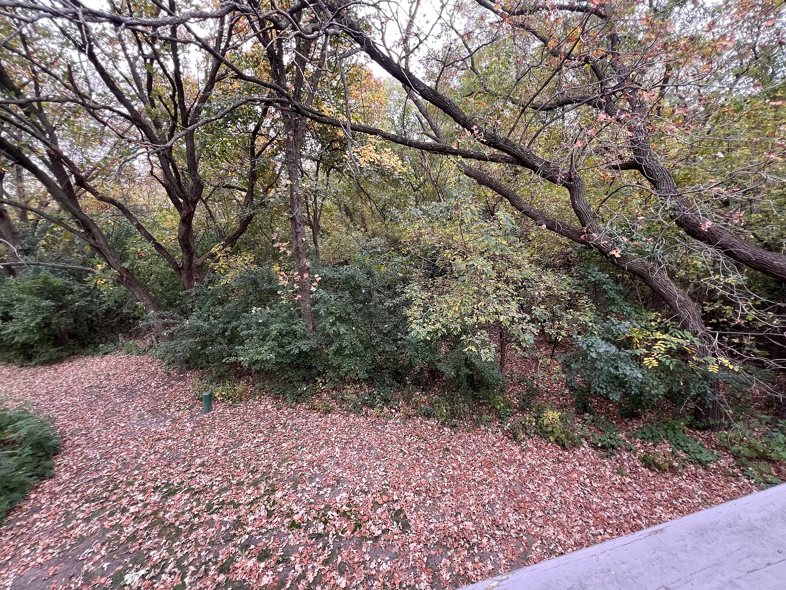 3 bed, 1800 sqft, $2,100 — Photo 4