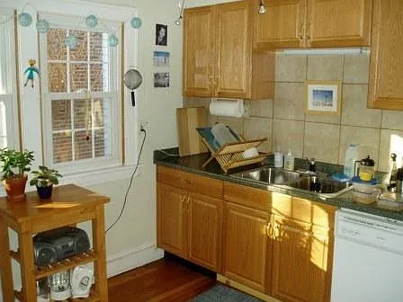 Updated, Modern Kitchen, Dishwasher, Side-by-Side Fridge, Ic