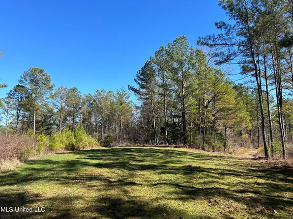 County Road 128, Coffeeville, MS 38922