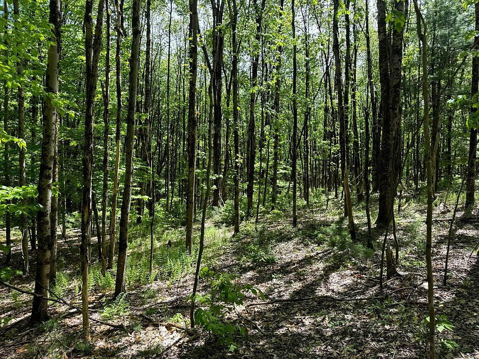1st image of 1.1 Marsh Rd #1