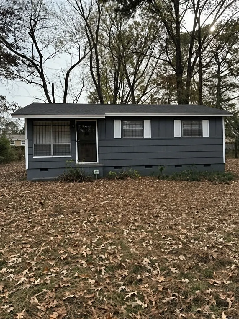 3 bed, 1.0 bath, 900 sqft, $950 — Photo 2