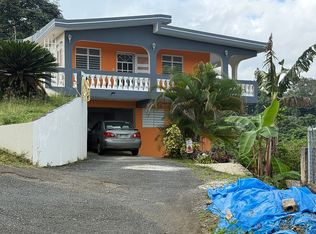 Barrio Sumideros #1, Cidra, PR 00739