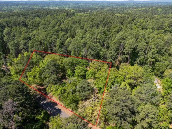 Timberidge Trl, Hawkins, TX 75765