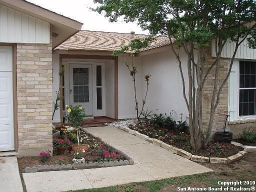 Beautiful Crepe Myrtle trees in front