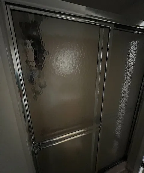 Shower for Lower-Level Bedroom