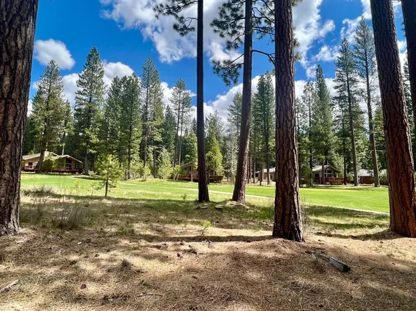 138 Black Bear Trl #Wh, Clio, CA 96106