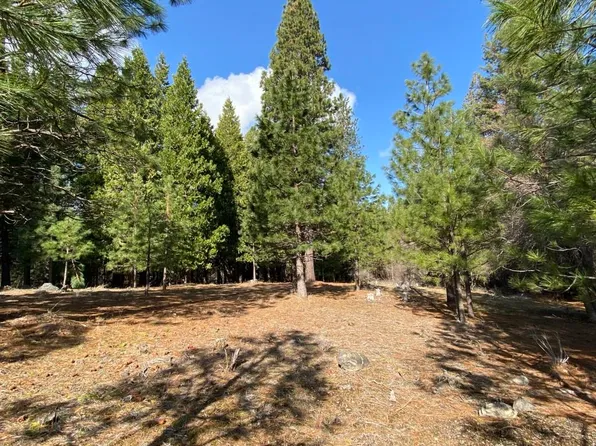 LOT 29 Hidden Meadow Dr, Weed, CA 96094