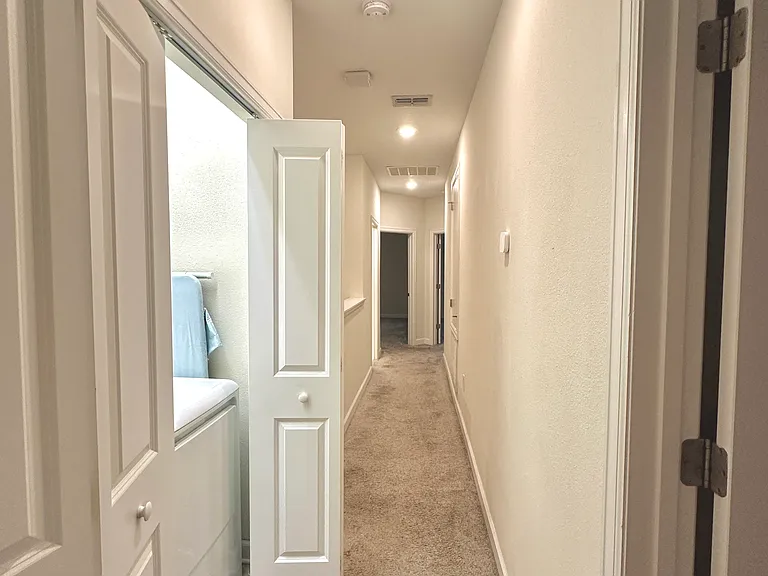11066 Whistling Pine Way — Photo 27