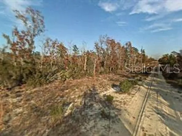 NE 13TH PLACE LOT 3, WILLISTON, FL 32696