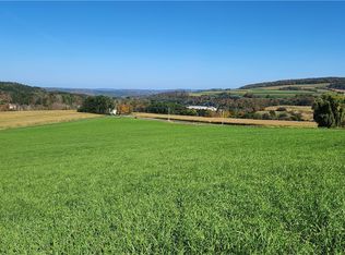 LOT 43.1 Beaver Meadow Rd #43, Smyrna, NY 13464