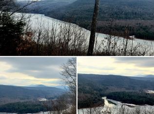 LOT 21 Intake Rd LOT 21, Roxbury, NY 12474