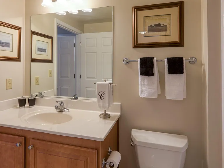 Well-appointed classic bathroom