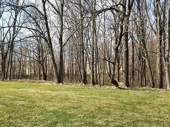 4th image of 5382 Caribou Dr