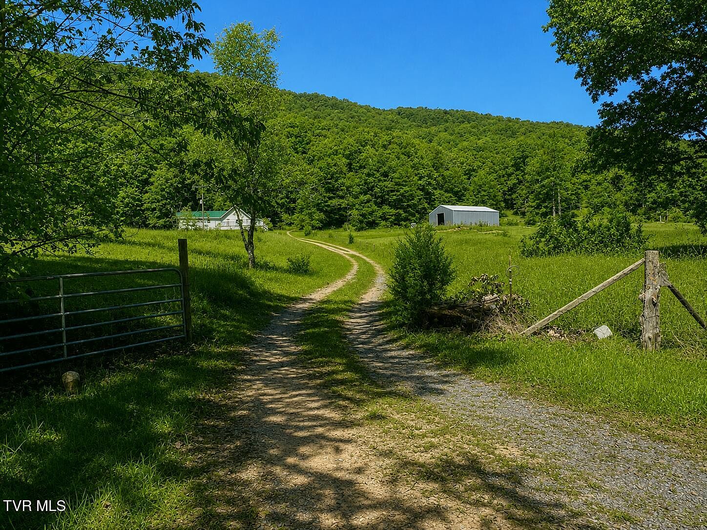 1393 Caney Valley Loop, Surgoinsville, TN 37873 | MLS #9989904