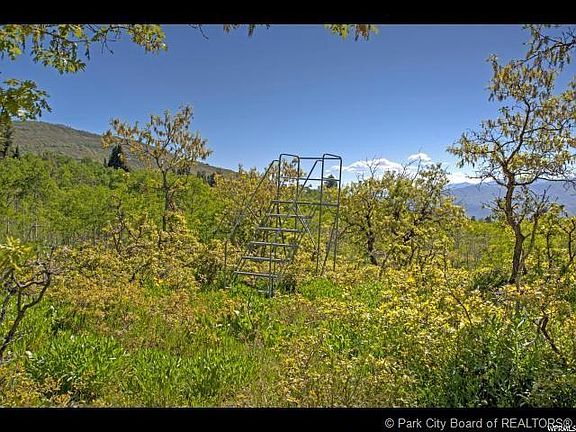 4th image of 1995 S Pine Meadow Dr #4