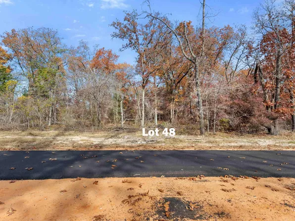 Private Road 6305 Lot 48, Mineola, TX 75773