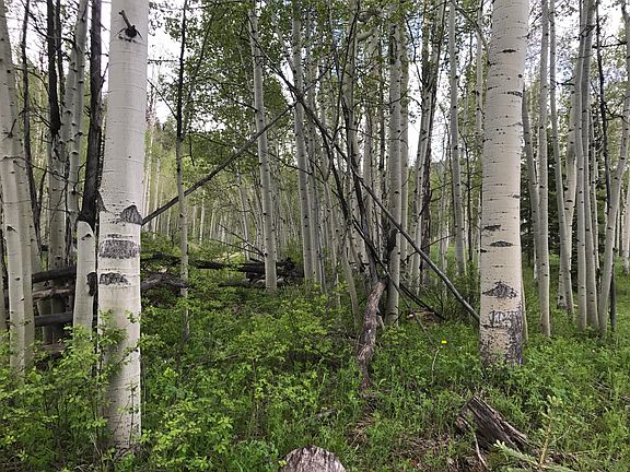 4th image of Tbd Elk Wallow Rd
