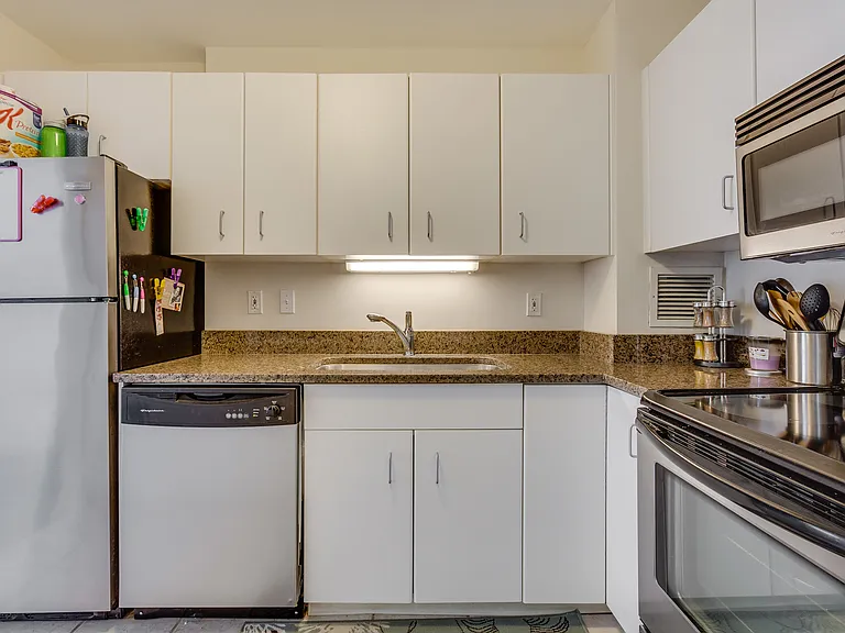 401 E Ontario St #1203 — Photo 9