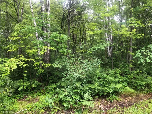 Wood Duck Ln, Bruno, MN 55712