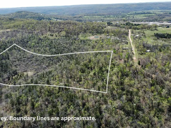 001-05373-000 Deer Meadows Ln, Yellville, AR 72687