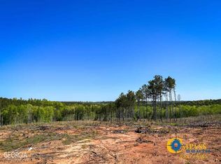 1 Old Tennessee Rd, Franklin, GA 30217