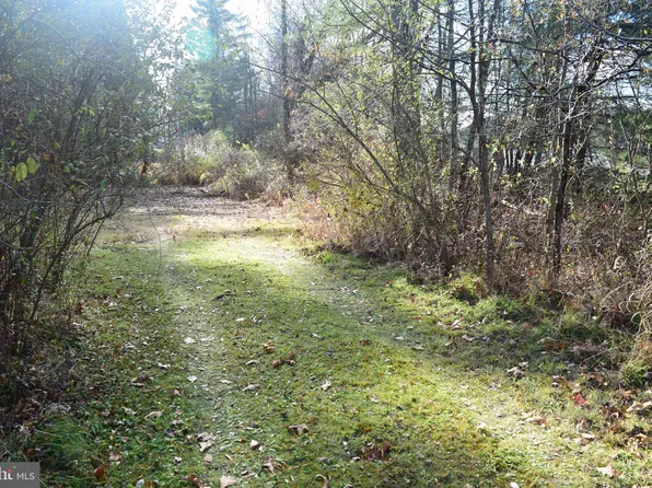 LOT Penns Creek Rd, Spring Mills, PA 16875