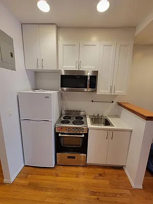 Rented by GPS Realty NYC | media 11