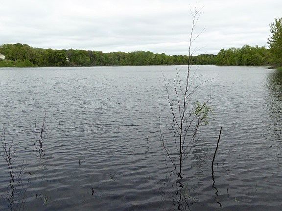 4th image of 7.4 Acres 153rd Street