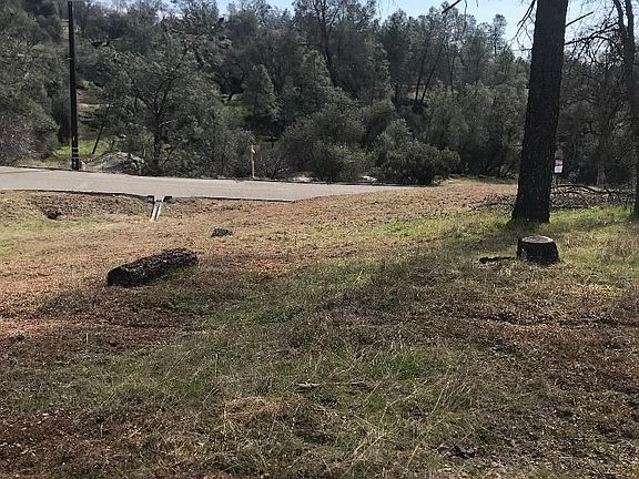 5th image of Deep Forest Dr
