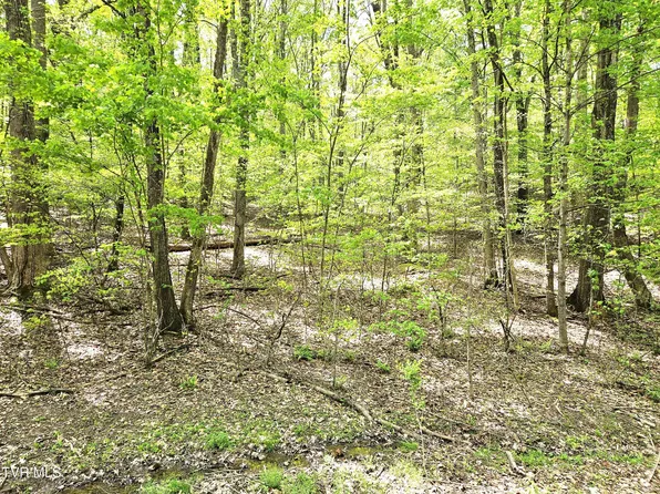 0 Hillcrest St, Rogersville, TN 37857