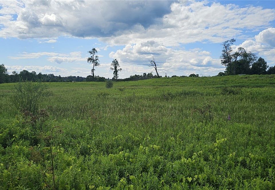 2nd image of 8083 Link Rd #2