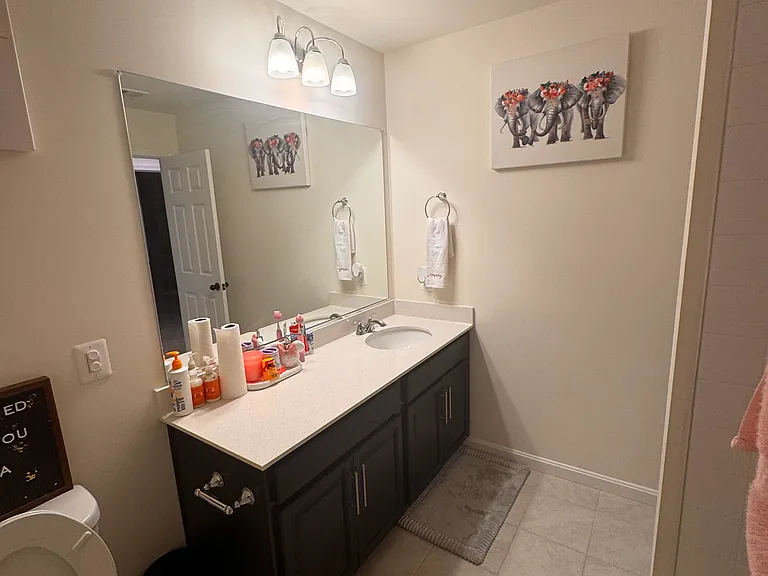 12241 Fallen Timbers Cir — Photo 11