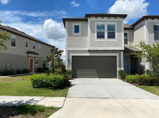 32005 Blue Passing Loop, Wesley Chapel, FL 33545