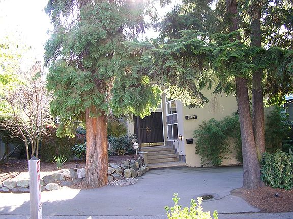 Mature trees create privacy