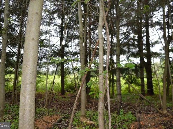 38 Groff Farm Rd, Conowingo, MD 21918