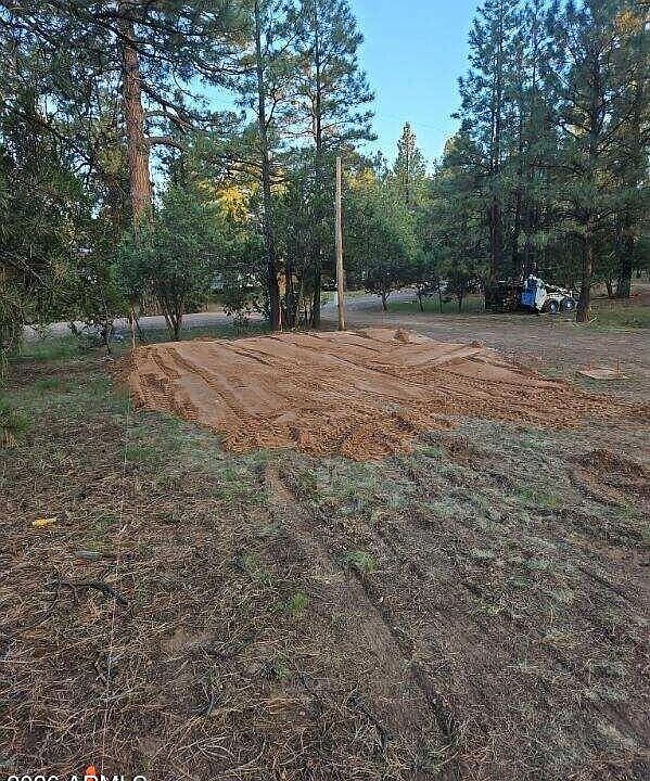 2nd image of 2890 PINE RIM Road #0