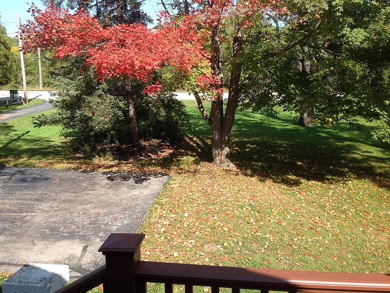 Front Yard