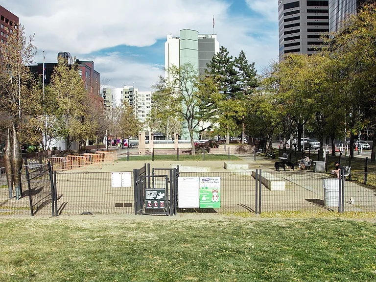 Can't make it to the mountains for a hike? The city dog park is the perfect place for your furry friend to stretch their legs