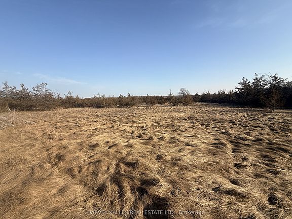 2nd image of LOT 63 Oram Rd