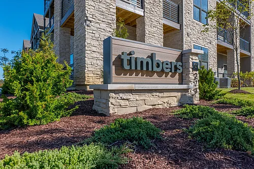 Timbers Photo 1