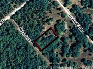 33159 Pahl Pl, Webster, FL 33597