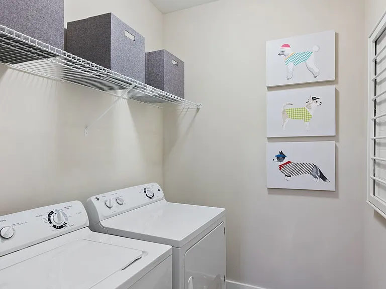 Full-size washer and dryer in every apartment, some with separate laundry room