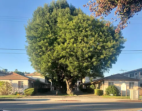 Oxnard St Photo 1