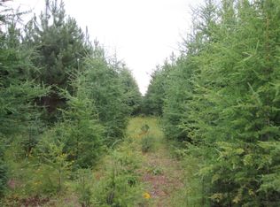 Tbd Off Triangle Ranch Rd, Amasa, MI 49903