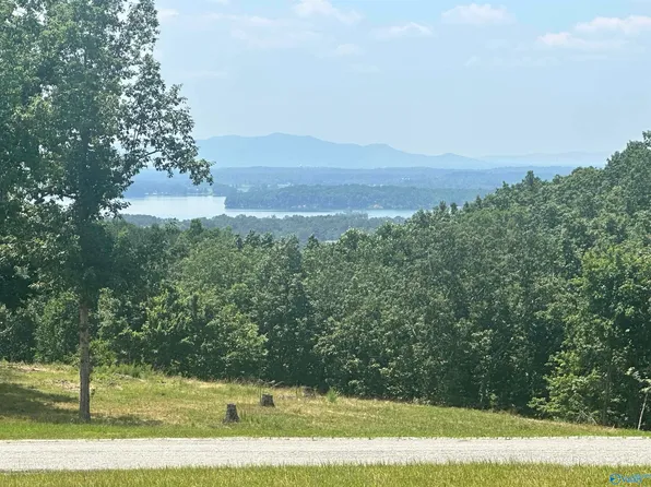 228 County Road 767, Cedar Bluff, AL 35959