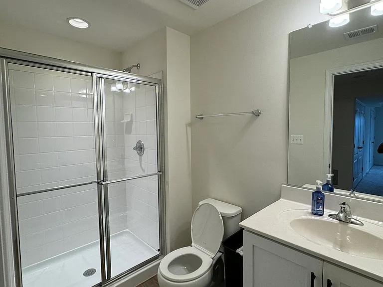 Basement Bathroom